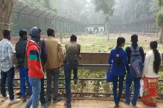 রেকর্ড ভিড় চিড়িয়াখানায়