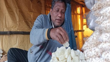 মোরব্বা