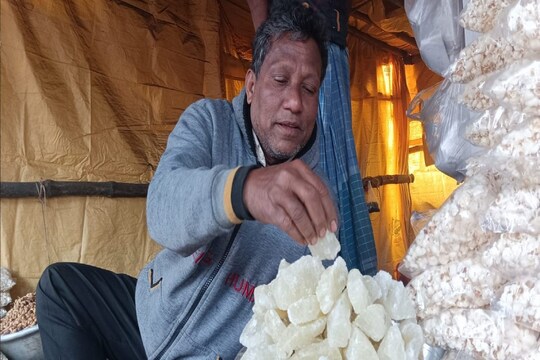 মোরব্বা