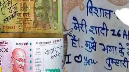 Photo: Collected Photo: Collected