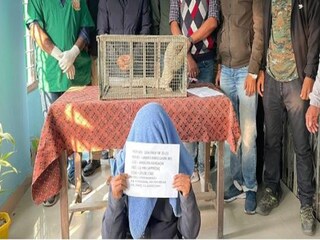 বাইকে করে প্য়াঙ্গোলিন নিয়ে যেতে গিয়ে ধরা পড়ে যান তৃণমূলের উপপ্রধান। 