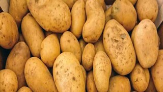 আলু চাষিদের কপালে চিন্তার ভাঁজ