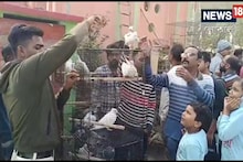 ড্যানিশ আমলের ঐতিহ্য ফিরল শ্রীরামপুরে, চালু হল এই ঐতিহ্যবাহী হাট