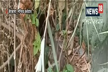 ওটা কী? আচমকা খেলতে খেলতে যা দেখল শিশুরা !