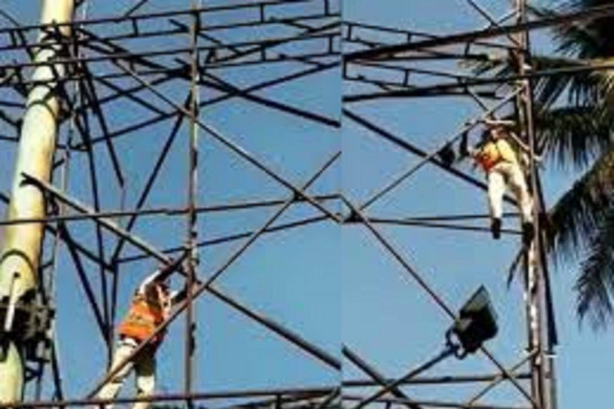 একটি পায়রার জীবন বাঁচাতে ট্রাফিক পুলিশের প্রচেষ্টা সবার মন জয় করে নিল