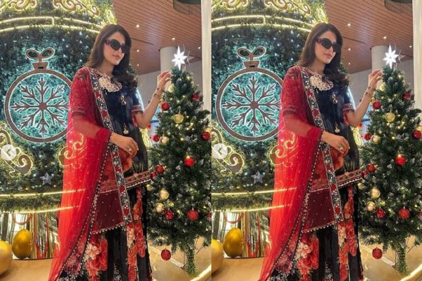 প্রতিটি কমেন্টেই সবাই ঋষভ পন্থের খবর নিচ্ছেন, ঋষভের শারীরিক অবস্থার খোঁজ খবর নিচ্ছেন ৷ ছবি সৌজন্যে ইনস্টাগ্রাম ৷