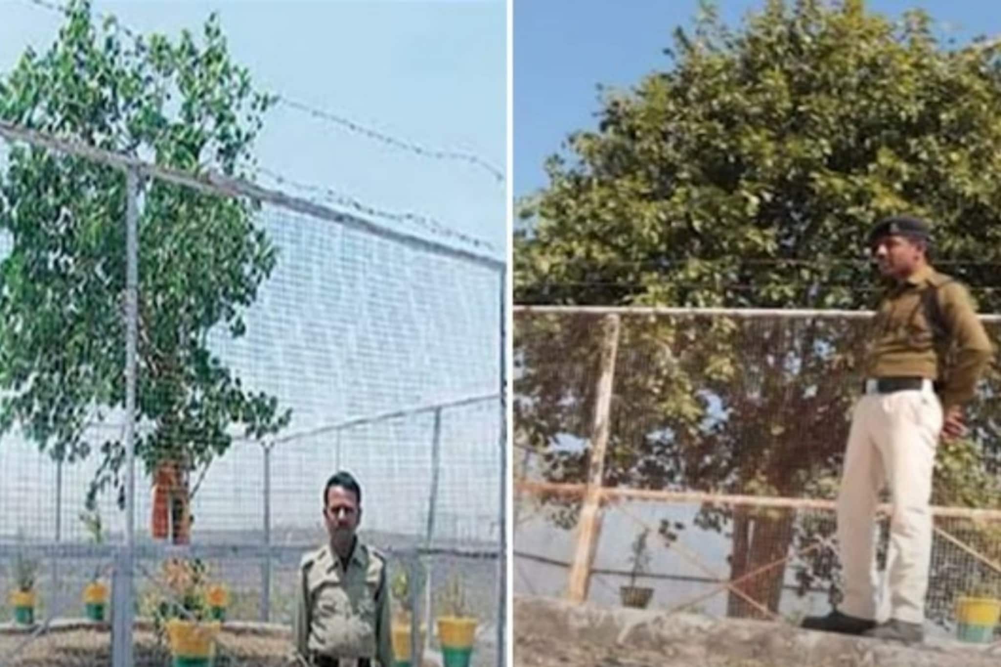 ভিআইপি-দের মতো যত্ন পায় এই গাছ! ২৪ ঘণ্টা সুরক্ষায় থাকে পুলিশ, খরচ লাখ লাখ টাকা