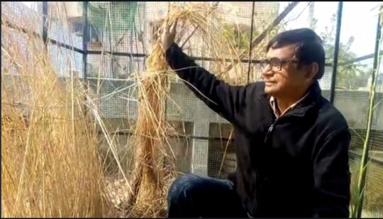 বাড়ির