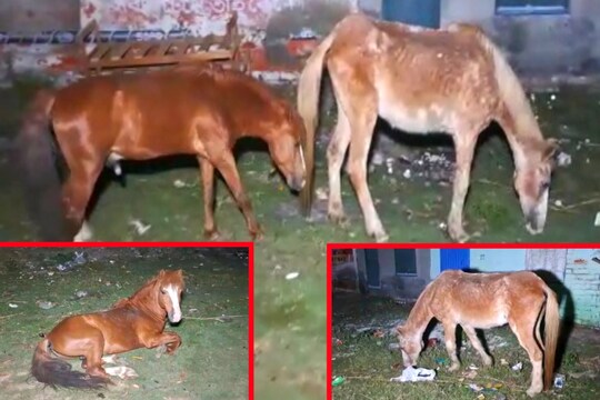 রাস্তায়