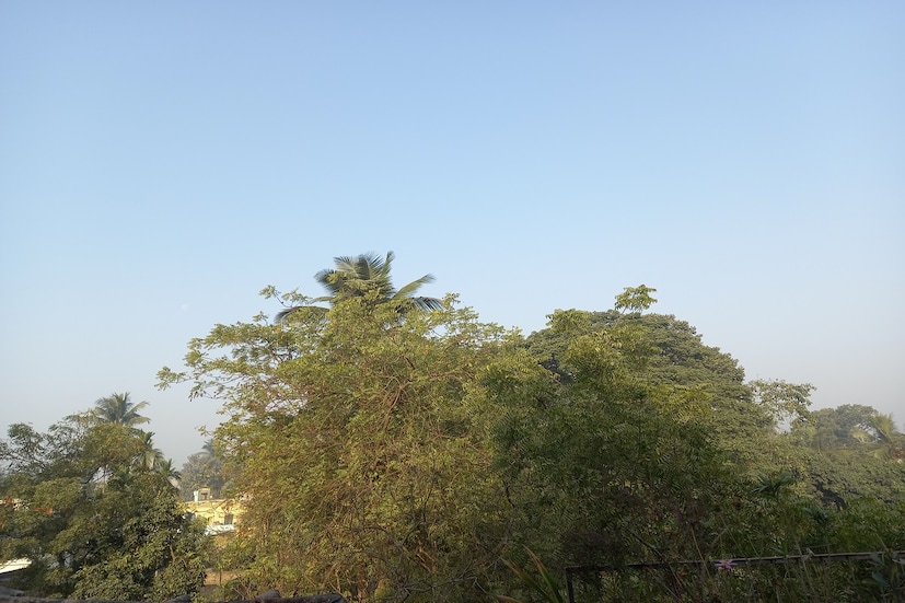 Kolkata Weather Update: শুক্রবার সকালে সর্বনিম্ন তাপমাত্রা ১৬.৮ ডিগ্রি সেলসিয়াস। যা স্বাভাবিকের চেয়ে ১ ডিগ্রি কম। গতকাল এই তাপমাত্রা ছিল ২০.১ ডিগ্রি সেলসিয়াস। বৃহস্পতিবার বিকেলে সর্বোচ্চ তাপমাত্রা ছিল ২৮.৭ ডিগ্রি সেলসিয়াস। যা স্বাভাবিকের চেয়ে ১ ডিগ্রি সেলসিয়াস বেশি। বাতাসে জলীয় বাষ্পের পরিমাণ ৪৬ থেকে ৯০ শতাংশ। আগামী ২৪ ঘণ্টায় কলকাতা শহরে তাপমাত্রা থাকবে ১৮ ডিগ্রি সেলসিয়াস থেকে ৩০ ডিগ্রি সেলসিয়াসের মধ্যে।