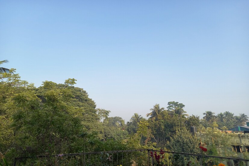 West Bengal Weather Update: আজ সর্বনিম্ন তাপমাত্রা বা রাতের তাপমাত্রা বেশ কিছুটা কমল। শনি ও রবিবার দিন ও রাতের দুটো তাপমাত্রায় বাড়বে। উষ্ণতা অনুভব হবে। সোমবার থেকে পারদ নামতে থাকবে। বুধবারের পর থেকে পারদ ক্রমশ উর্ধ্বমুখী হবে, কার্যত শীতের বিদায়। মরশুমের মত ১৫ ডিগ্রির নিচে আর নামবে না কলকাতা তাপমাত্রা।