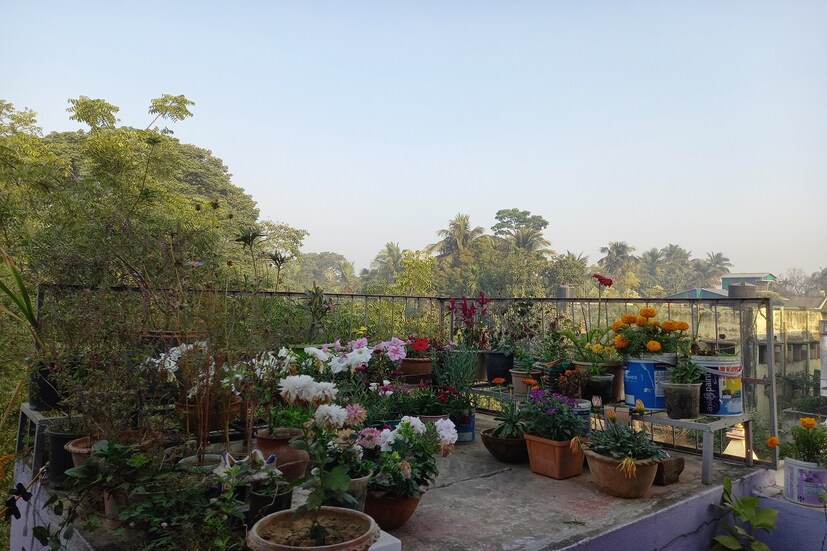 West Bengal Weather Update: এক রাতে চার ডিগ্রি নামল কলকাতার তাপমাত্রা। কাল থেকে ফের ঊর্ধ্বমুখী পারদ। ১৫ ফেব্রুয়ারি পর্যন্ত তাপমাত্রার ওঠানামা। উত্তরবঙ্গে বৃষ্টি ও কুয়াশা। দক্ষিণবঙ্গে বৃষ্টির কোনও সম্ভাবনা নেই।