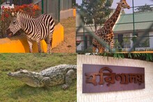 পশুপাখি দর্শনের নয়া ঠিকানা নিউটাউনে, মাত্র এত টাকায় ঘুরে দেখুন নতুন চিড়িয়াখানা