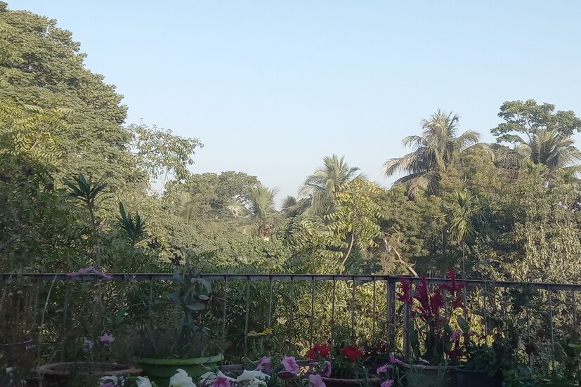 তাপমাত্রার ফের পরিবর্তন হবে। পূর্ব ভারতে দুই থেকে তিন ডিগ্রি তাপমাত্রা কমবে বুধবার পর্যন্ত। বৃহস্পতিবার থেকে আবারও তাপমাত্রা বাড়বে।পরবর্তী দু-তিন দিনে দুই থেকে চার ডিগ্রি সেলসিয়াস তাপমাত্রা বাড়তে পারে এমনটাই অনুমান আবহাওয়াবিদদের। মধ্য ভারতে তাপমাত্রা কমবে। মঙ্গলবার এর মধ্যে  ৩ ডিগ্রি সেলসিয়াস তাপমাত্রা কমে যাবে।