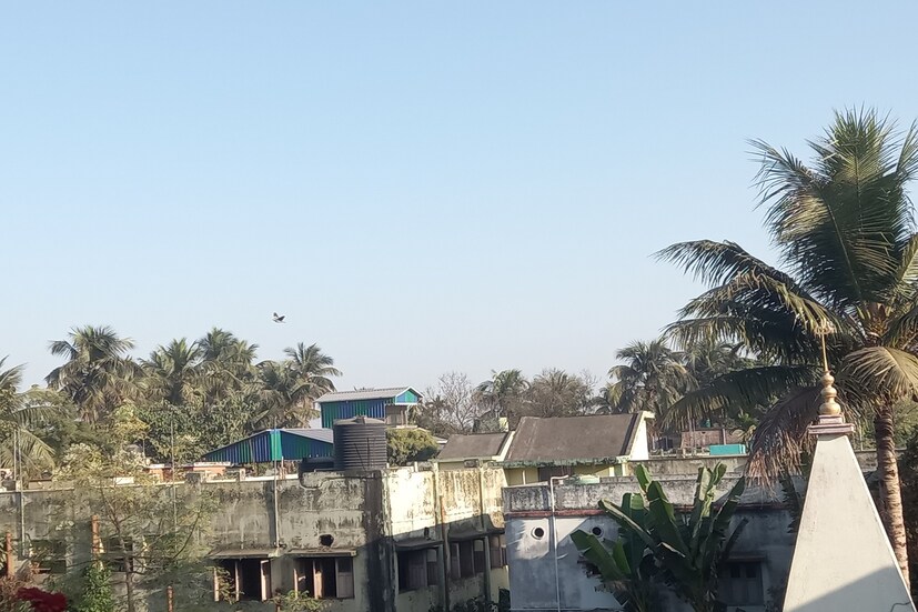 কলকাতায় মূলত পরিষ্কার আকাশ। সকাল এবং সন্ধ্যায় হালকা শীতের আমেজ। কাল আরও নামতে পারে তাপমাত্রা। বৃষ্টির সম্ভাবনা নেই।