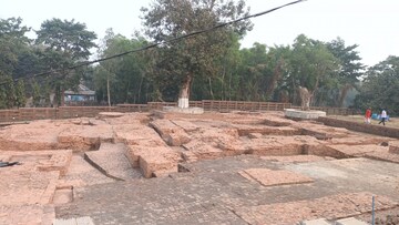 মোগলমারী