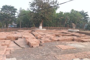 মোগলমারী