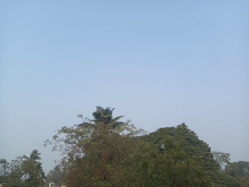  এই সাউথ ওয়েস্টার্লি উইন্ডের প্রভাবে আগামী দুই-তিন দিন হালকা থেকে মাঝারি বৃষ্টি হবে উত্তর-পূর্ব ভারতের রাজ্যগুলিতে এবং আগামী তিন দিন বজ্রবিদ্যুৎ-সহ বৃষ্টির সম্ভাবনা সিকিম ও উত্তরবঙ্গের পার্বত্য এলাকার জেলাগুলিতে। শনিবার পর্যন্ত হালকা থেকে মাঝারি বৃষ্টি, কোথাও আবার বজ্রবিদ্যুৎ-সহ বৃষ্টি হবে উত্তর-পূর্ব ভারতের বেশ কয়েকটি রাজ্যে। 