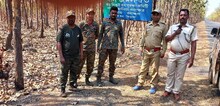 হাতির হানায় পরীক্ষার্থীর মৃত্যুর জের, এলিফ্যান্ট করিডোরে বিশেষ নজরদারি বন দফতরের
