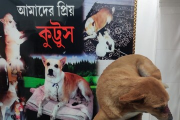 কুট্টুস 