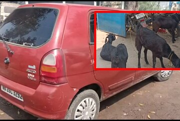 এই