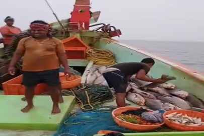 তেলে ভোলা মাছ