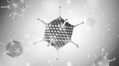 প্রতিকী চিত্র 