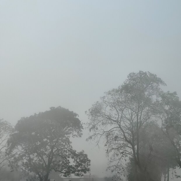 পশ্চিমী ঝঞ্ঝার কারণে এখনও পুরোপুরি ভাবে রাজ্য থেকে বিদায় নেয়নি শীত। অন্যান্য বছর এই সময় অনেকটাই গরম পড়ে যায় কিন্তু এবছর ঠান্ডা-গরমের খেলায় মেতেছে প্রকৃতি। 