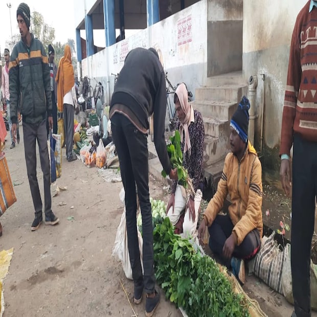 ভোটের ফলাফলে ১০৮০ ভোটে জয়ী হয়ে ওই ওয়ার্ডের তৃণমূল কাউন্সিলর হন সমর দোলই। কাউন্সিলর হয়ে নিয়মিত ওয়ার্ডের মানুষের সঙ্গে যোগাযোগ রেখে চলা, তাঁদের খোঁজ খবর রাখা এবং পৌর দফতরে সময় দেওয়ার পাশাপাশি বিকেলে জমি থেকে বিভিন্ন সবজি তুলে রেখে তা পরদিন ভোর চারটায় বাজারে নিয়ে গিয়ে পাইকারি বিক্রি করেন। বাজার থেকে বাড়ি ফেরার সময় ওয়ার্ডের বিভিন্ন মহল্লা ঘুরে বাসিন্দাদের খোঁজ খবর নিয়ে  তবেই বাড়ি ঢোকেন এবং দশটা সাড়ে দশটা নাগাদ ফের বেরিয়ে পড়েন চন্দ্রকোণা পৌরসভা কার্যালয়ে, সেখানেও সময় দেন মানুষকে। 