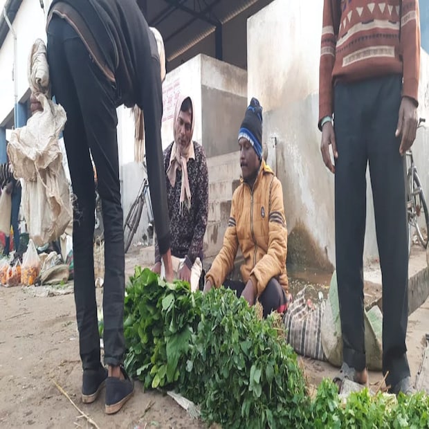 এমন একজন সাদামাটা কাউন্সিলর পেয়ে তাঁরা খুশি এবং নাগালের মধ্যেই পাওয়া যায় বলেই জানাচ্ছেন ৯ নং ওয়ার্ডের বাসিন্দারা। পাশাপাশি সমর দোলইয়ের ভূয়সী প্রশংসায় চন্দ্রকোণা পৌরসভার চেয়ারম্যান প্রতিমা পাত্রও। তিনি বলেন, 'সমর দোলইয়ের পারিবারিক আর্থিক স্বচ্ছলতা ভাল না,কাউন্সিলর হয়েও বাজারে সবজি বিক্রি করতে হয়। তবে সমর দোলই তাঁদের কাছেও অনুপ্রেরণা বলে জানান চেয়ারম্যান প্রতিমা পাত্র। বর্তমান রাজ্য রাজনীতিতে একজন জনপ্রতিনিধি হিসাবে চন্দ্রকোণা পৌরসভার এই কাউন্সিলর সম্পূর্ণ ব্যতিক্রমই বলা চলে।' (ছবি ও তথ্য-- সুকান্ত চক্রবর্তী)