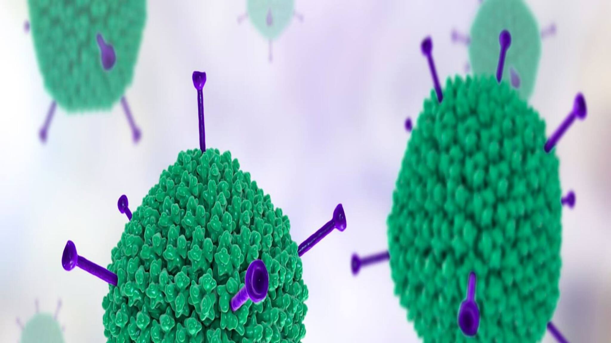 Adenovirus Alert ||Cases in Kolkata: অ্যাডিনোভাইরাস নিয়ে তুমুল সতর্কতা! কলকাতায় আক্রান্ত শিশুর মৃত্যু! স্কুলে স্কুলে নির্দেশিকা জারি রাজ্য স্বাস্থ্য দফতরের