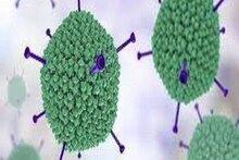 Adeno Virus: রাজ্যে ক্রমে বাড়ছে অ্যাডিনো ভাইরাসে শিশু মৃত্যুর সংখ্যা
