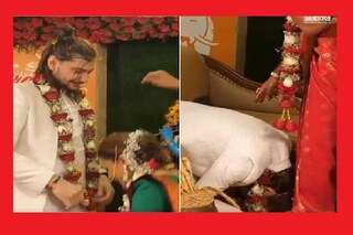 নতুন বর -কনের প্রেম  Photo Courtesy- Twitter/ Video Grab 