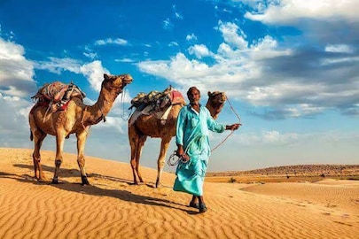 মালিককে খুন করল উট, 
লাঠিপেটায় হারাল প্রাণ