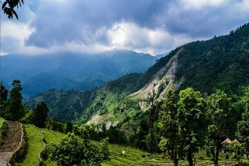 পাহাড়ি