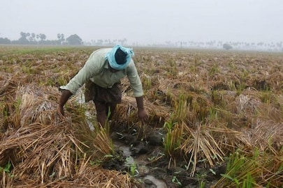 জলবায়ু পরিবর্তনের ফলে কী হতে চলেছে!