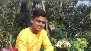 পলাশ ভুইঁয়া