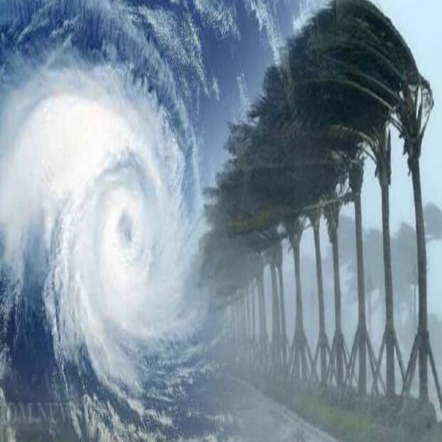 Cyclone Gabrielle Update: হাজার হাজার বিদ্যুৎহীন হয়ে পড়েছে এরই মধ্যে ৷ গাছপালা এমন ভাবে উপড়ে পড়তে পারে বা বিশাল ভূমিক্ষয় হতে পারে বলেই জানানো হয়েছে ৷ প্রতীকী ছবি ৷ 