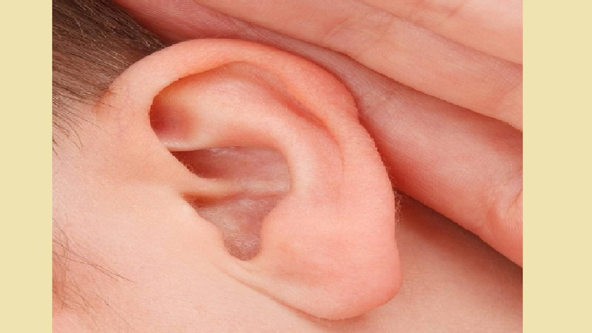 Purba Bardhaman News: হাতুড়ের কীর্তি! রক্ত বেরোনো বন্ধ করতে কানে মারাত্মক এমসিল আঠা ঢেলে দিল হাতুড়ে