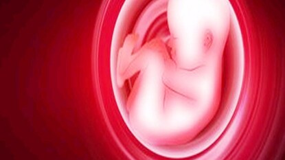 লিঙ্গ নির্ধারণ খাস কলকাতায়! লিঙ্গ নির্ধারণ খাস কলকাতায়!