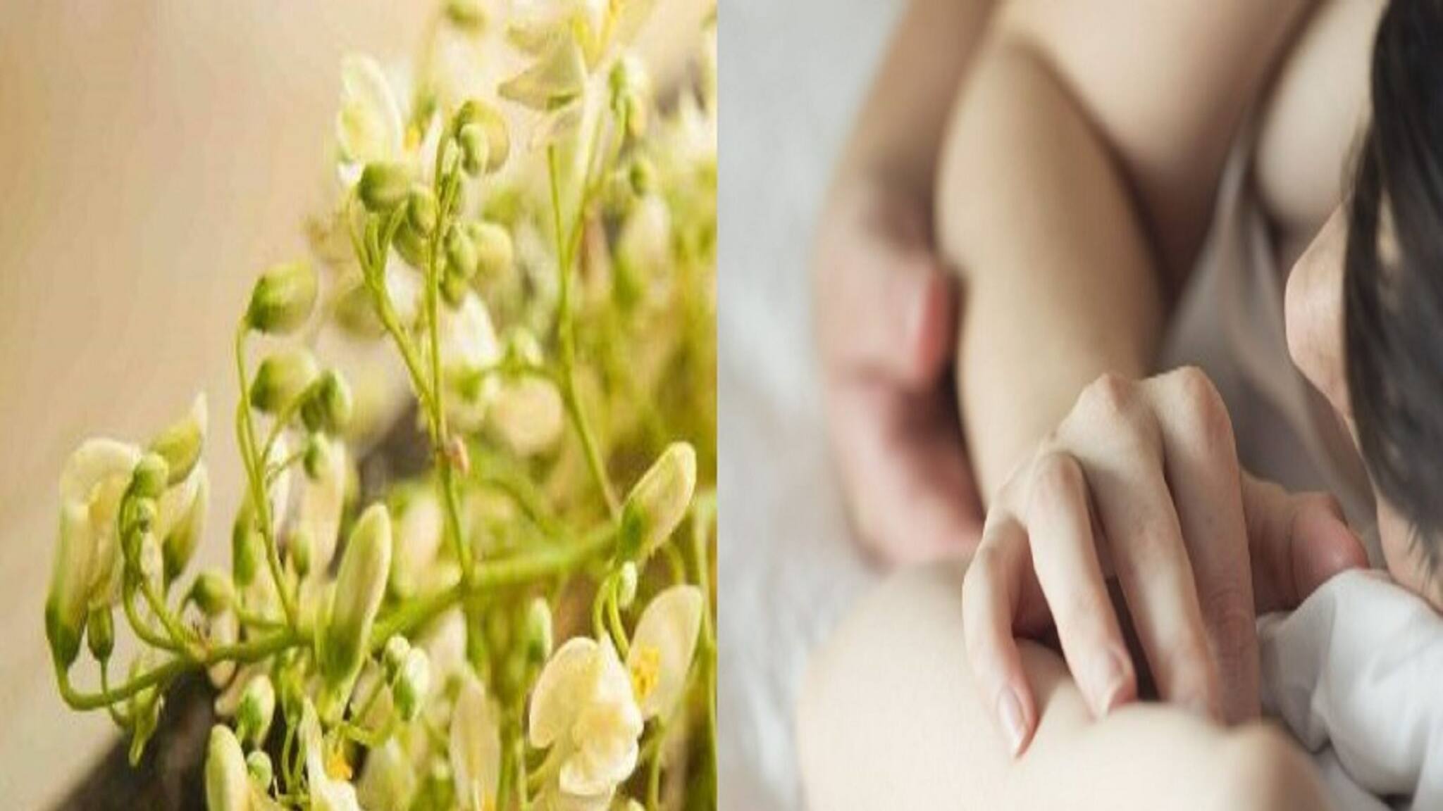 Health Tips: পাতে এক মুঠো ফুল, রাতে বিছানায় ঝড়! পিছিয়ে না পড়ে যৌন জীবনকে চাঙ্গা করুন