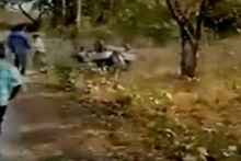 জলদাপাড়ায় গণ্ডারের হানা, উল্টে গেল পর্যটকদের গাড়ি, তারপর...দেখুন হাড়হিম ভিডিও