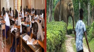 মাধ্যমিক পরীক্ষার্থীর মৃত্যু মাধ্যমিক পরীক্ষার্থীর মৃত্যু