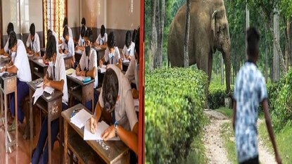 মাধ্যমিক পরীক্ষার্থীর মৃত্যু মাধ্যমিক পরীক্ষার্থীর মৃত্যু