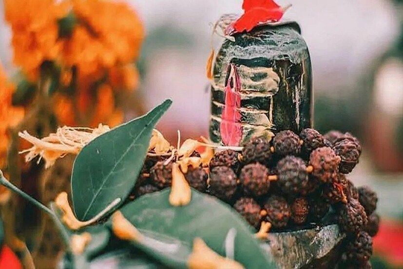 Maha Shivratri Favorite Zodiacs: শিবরাত্রির দিনে ঠিক কোনও কোনও রাশির উপরে কী কী প্রভাব হতে চলেছে এবার দেখে নিন একনজরে ৷ প্রতীকী ছবি ৷