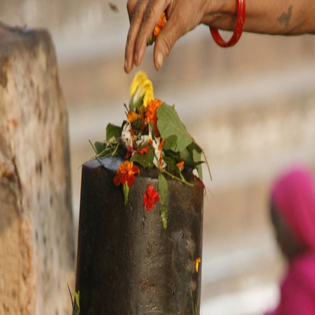 Maha Shivratri Favorite Zodiacs: মেষ রাশির জাতক-জাতিকাদের জন্য বড় কাজ এটাই আপনারা শিবের পায়ে ফুল অর্পিত করুন ৷ গোলাপ বা গ্যাঁদা ফুল শিবলিঙ্গে অর্পিত করতে পারেন ৷ প্রতীকী ছবি ৷