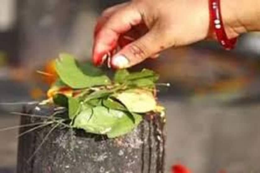 Maha Shivratri Favorite Zodiacs: বৃষ রাশির জাতক-জাতিকাদের জন্য শিবের প্রতি জলাভিষেক করুন সব থেকে বড় ফল পাবেন ৷ এরফলে বৈবাহিক জীবনে বরদান পাবেন ৷ জীবনও সম্পন্ন হবে ৷ প্রতীকী ছবি ৷