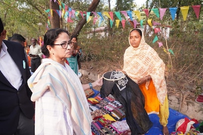 মমতা বন্দ্যোপাধ্যায় (ফাইল ছবি)