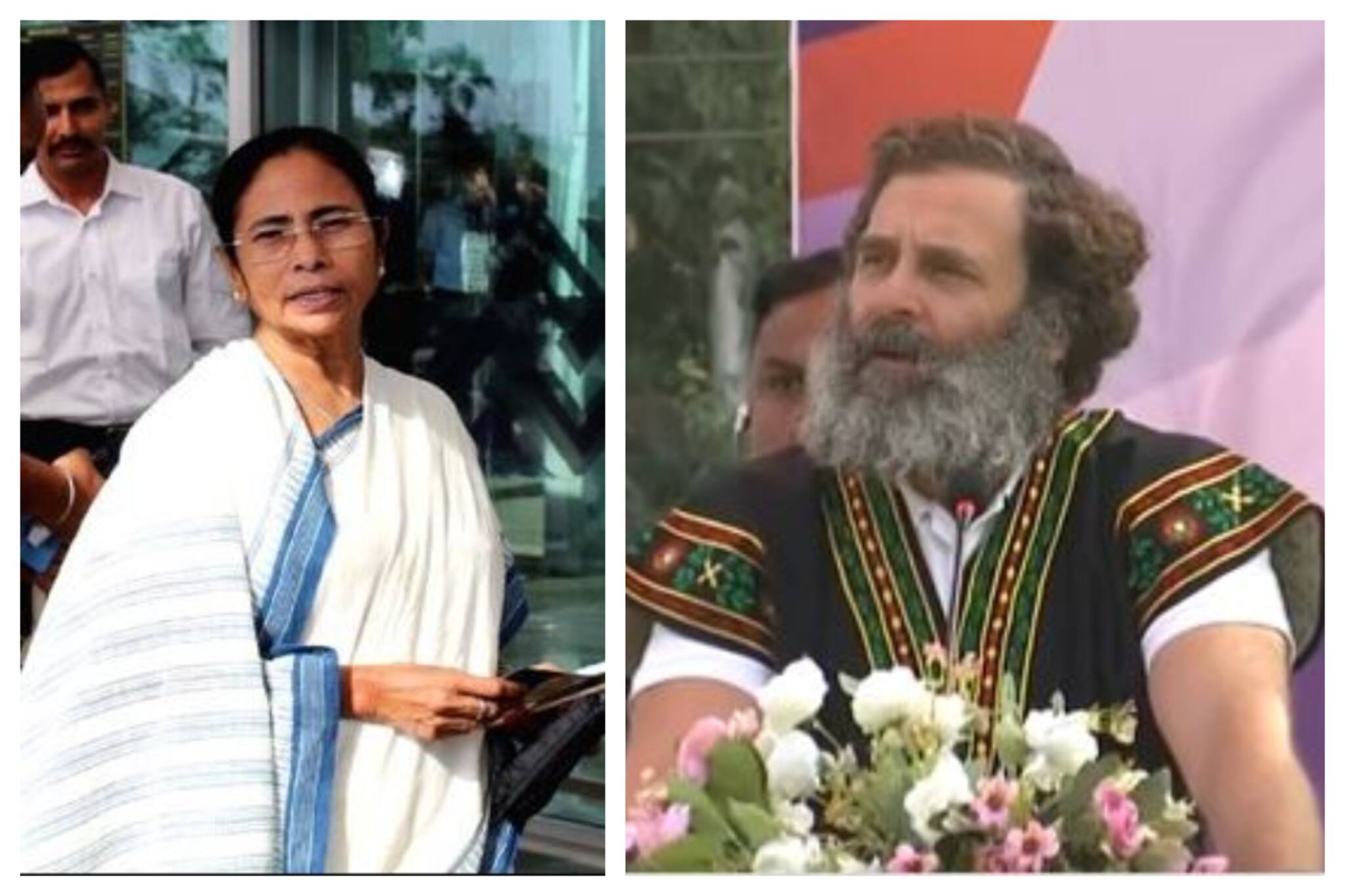 মমতার আক্রমণের জবাব, মেঘলায়ে ভোট প্রচারে গিয়ে তৃণমূলকে তুলোধনা রাহুল গান্ধির