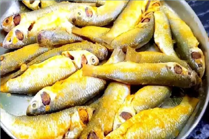 মাছ- কোলেস্টেরলের মাত্রা কমাতে হলে ডায়েটে মাছ রাখুন। মাছের মধ্যে ওমেগা-৩ ফ্যাটি অ্যাসিড নামের এক অপরিহার্য পুষ্টি পাওয়া যায়। এটি হৃদরোগের ঝুঁকি কমাতে সাহায্য করে। সপ্তাহে ৩ বার মাছ খেলেই আপনি হার্টকে ভাল রাখতে পারবেন।